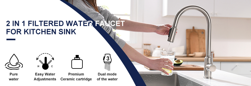 2 In 1 Filtration Kitchen Faucets