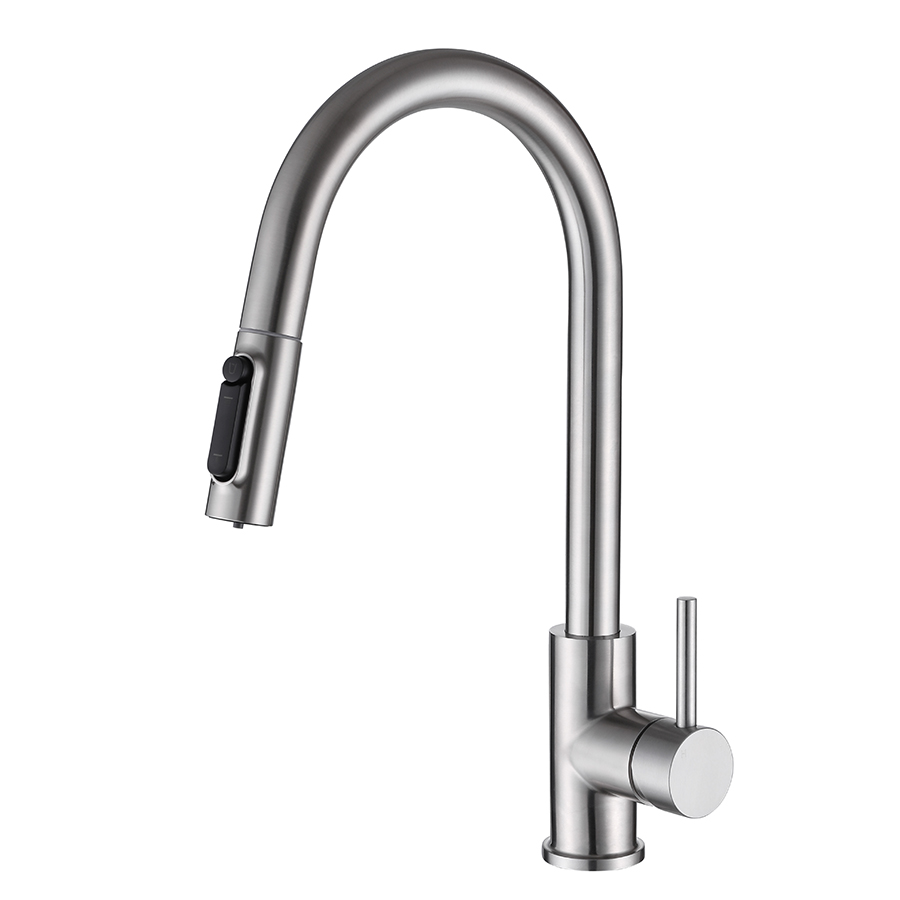 Thun Brushed Nickel Single Hole 2 In1 Filtration Kitchen Faucet Supply