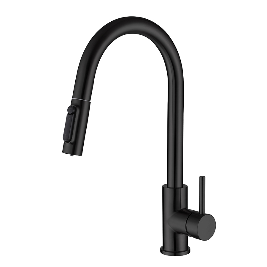 Thun High Arc Matte Black 2 in 1 Filtration Kitchen Faucet with Sprayer Price