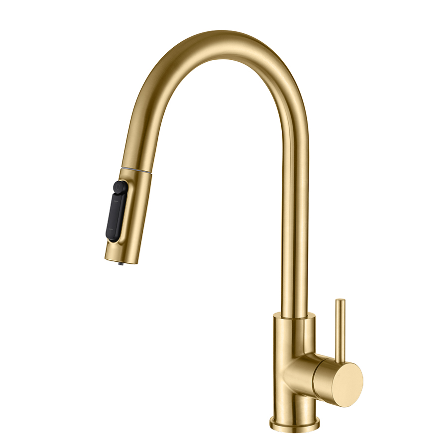 Thun Best Luxury Brushed Gold Single Handle 2 in 1 Filtration Kitchen Faucets with Sprayer Supply