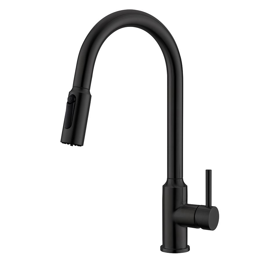 Thun Traditional Matte Black Swivel 2 in 1 Filtration Kitchen Faucets with Sprayer Price