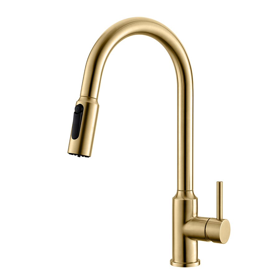 Thun High Arc Brushed Gold Single Handle 2 in 1 Filtration Kitchen Faucets China